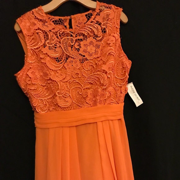 Spring Time! - Picture 4 of 5